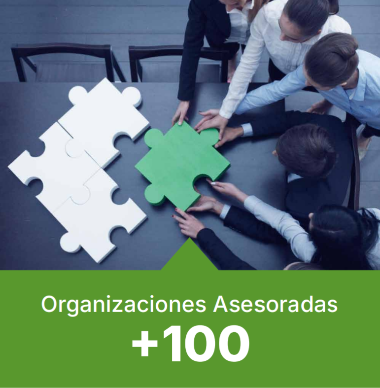 Organizaciones Asesoradas +100